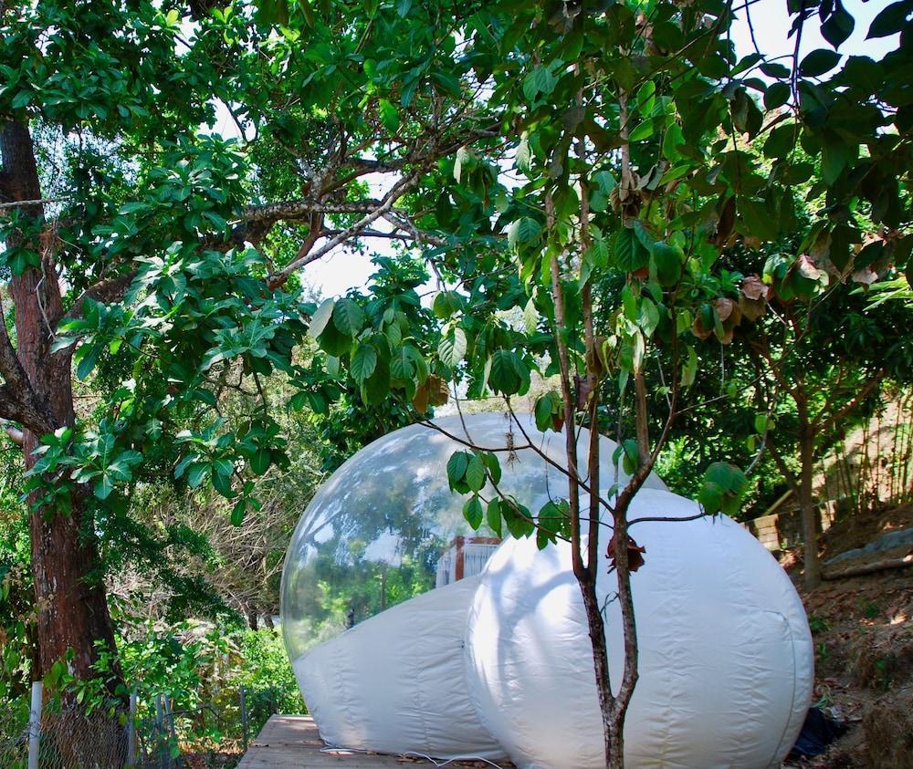 Sweet Harmony Hotel Boutique By Xarm Hotels Minca Exterior photo